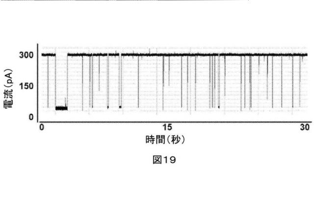 2021514189-ナノ細孔アセンブリとその使用 図000059