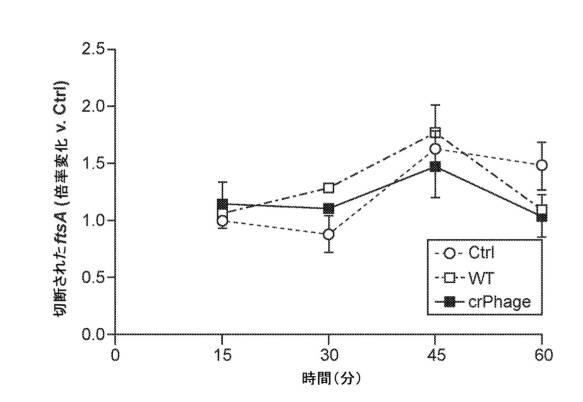2021525105-標的細菌を死滅させるための方法および組成物 図000059