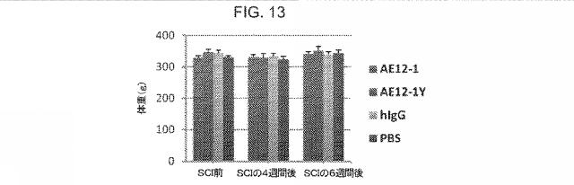 2019517480-脊髄損傷及び疼痛を処置するための抗ＲＧＭａ（Ｒｅｐｕｌｓｉｖｅ  Ｇｕｉｄａｎｃｅ  Ｍｏｌｅｃｕｌｅ  Ａ）アンタゴニスト抗体 図000060