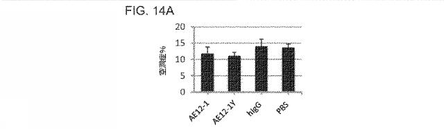 2019517480-脊髄損傷及び疼痛を処置するための抗ＲＧＭａ（Ｒｅｐｕｌｓｉｖｅ  Ｇｕｉｄａｎｃｅ  Ｍｏｌｅｃｕｌｅ  Ａ）アンタゴニスト抗体 図000061