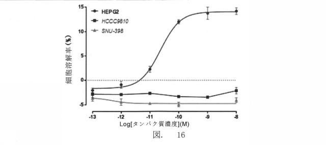 2022502078-ＡＦＰ抗原を識別する高親和性Ｔ細胞受容体 図000061