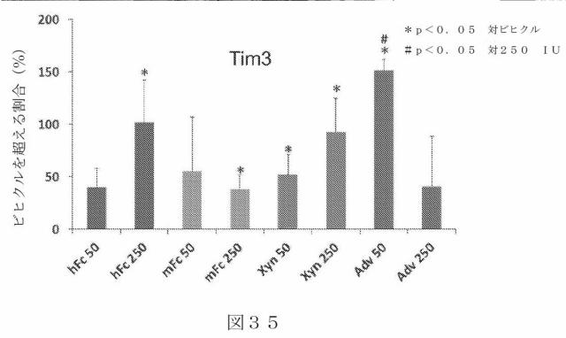 2015504898-第ＶＩＩＩ因子療法を受けている個体における第ＶＩＩＩ因子に対する免疫原性を低下させる方法 図000063