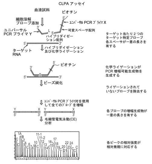 2017522550-生物学的試料を採取して安定化するためのデバイス及び方法 図000064