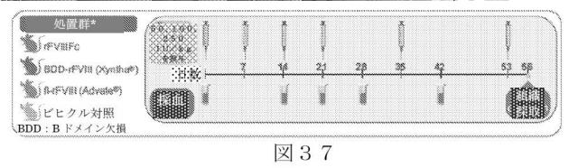 2015504898-第ＶＩＩＩ因子療法を受けている個体における第ＶＩＩＩ因子に対する免疫原性を低下させる方法 図000065