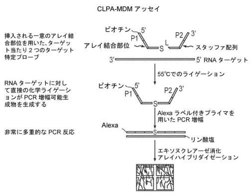 2017522550-生物学的試料を採取して安定化するためのデバイス及び方法 図000065