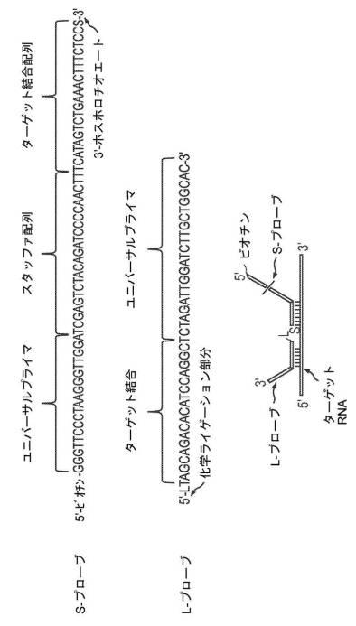 2017522550-生物学的試料を採取して安定化するためのデバイス及び方法 図000066