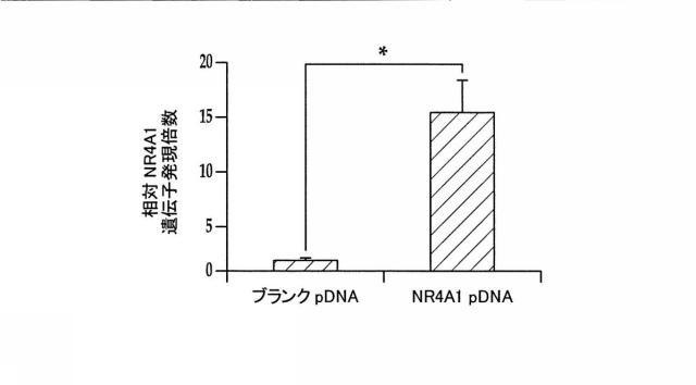 2018517005-超分岐重合体及びポリプレックス、並びにこれらを含むＤＮＡ又はＲＮＡ送達システム 図000066