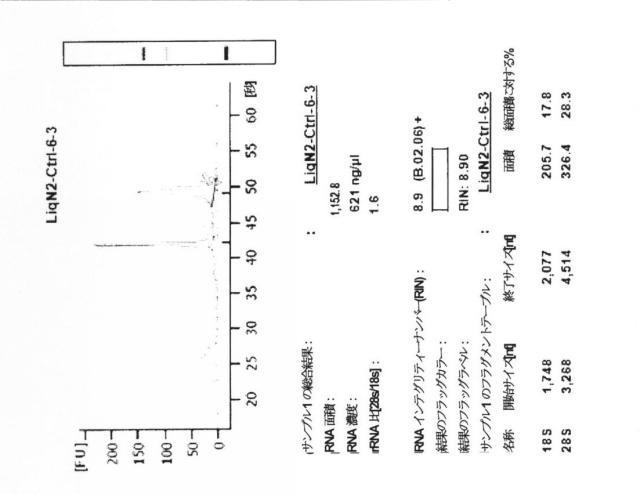2015519887-ＲＮＡ破壊を評価するためのアッセイ、方法および装置 図000068