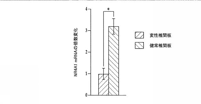 2018517005-超分岐重合体及びポリプレックス、並びにこれらを含むＤＮＡ又はＲＮＡ送達システム 図000068