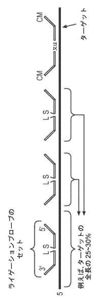 2017522550-生物学的試料を採取して安定化するためのデバイス及び方法 図000069