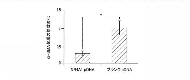 2018517005-超分岐重合体及びポリプレックス、並びにこれらを含むＤＮＡ又はＲＮＡ送達システム 図000069