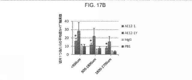 2019517480-脊髄損傷及び疼痛を処置するための抗ＲＧＭａ（Ｒｅｐｕｌｓｉｖｅ  Ｇｕｉｄａｎｃｅ  Ｍｏｌｅｃｕｌｅ  Ａ）アンタゴニスト抗体 図000069