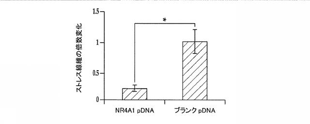 2018517005-超分岐重合体及びポリプレックス、並びにこれらを含むＤＮＡ又はＲＮＡ送達システム 図000070