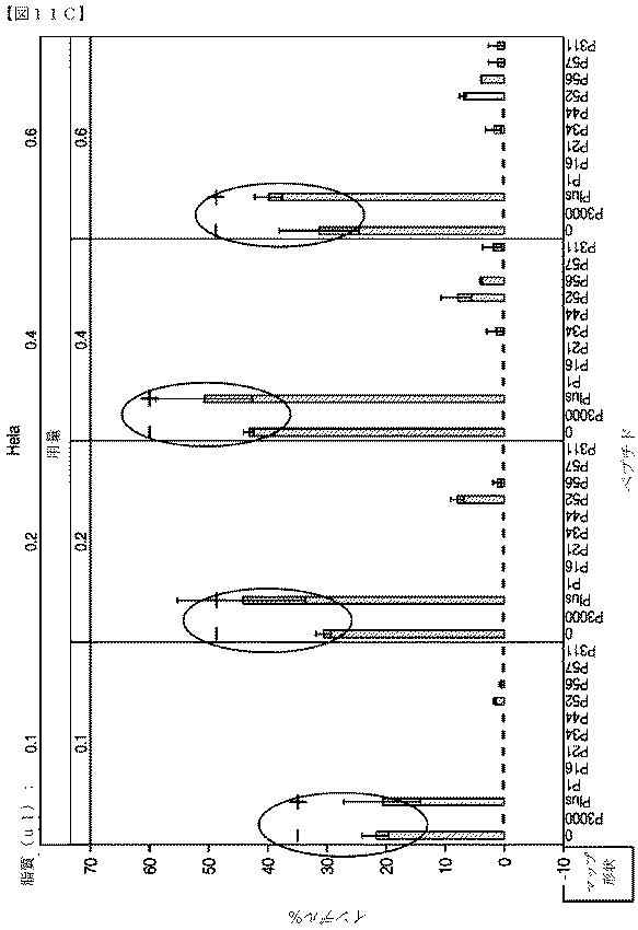 2018532404-リボ核タンパク質トランスフェクション薬剤 図000070