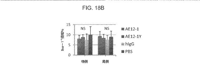 2019517480-脊髄損傷及び疼痛を処置するための抗ＲＧＭａ（Ｒｅｐｕｌｓｉｖｅ  Ｇｕｉｄａｎｃｅ  Ｍｏｌｅｃｕｌｅ  Ａ）アンタゴニスト抗体 図000071