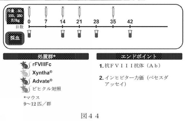 2015504898-第ＶＩＩＩ因子療法を受けている個体における第ＶＩＩＩ因子に対する免疫原性を低下させる方法 図000072