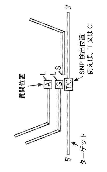 2017522550-生物学的試料を採取して安定化するためのデバイス及び方法 図000072