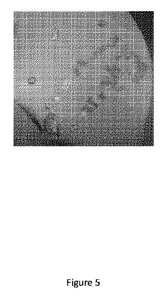 2017532003-ヒト４−リン酸アダプタータンパク質２糖脂質移行タンパク質様ドメインの結晶構造 図000072