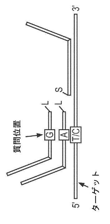 2017522550-生物学的試料を採取して安定化するためのデバイス及び方法 図000073