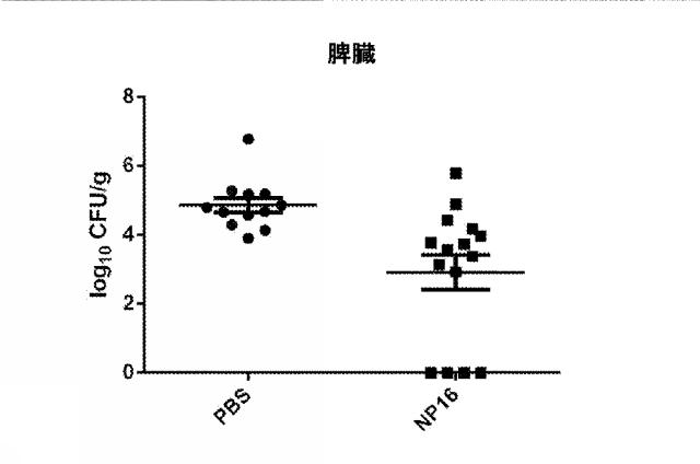2020528405-化合物及び微生物感染治療のためのその使用 図000073