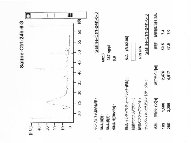 2015519887-ＲＮＡ破壊を評価するためのアッセイ、方法および装置 図000074