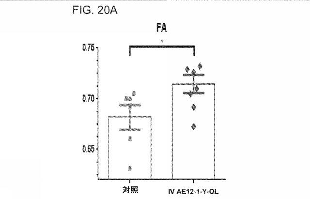 2019517480-脊髄損傷及び疼痛を処置するための抗ＲＧＭａ（Ｒｅｐｕｌｓｉｖｅ  Ｇｕｉｄａｎｃｅ  Ｍｏｌｅｃｕｌｅ  Ａ）アンタゴニスト抗体 図000074