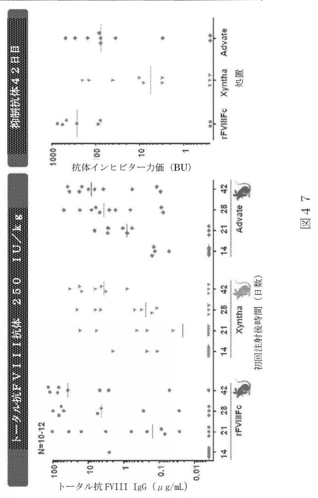 2015504898-第ＶＩＩＩ因子療法を受けている個体における第ＶＩＩＩ因子に対する免疫原性を低下させる方法 図000075