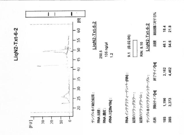 2015519887-ＲＮＡ破壊を評価するためのアッセイ、方法および装置 図000075