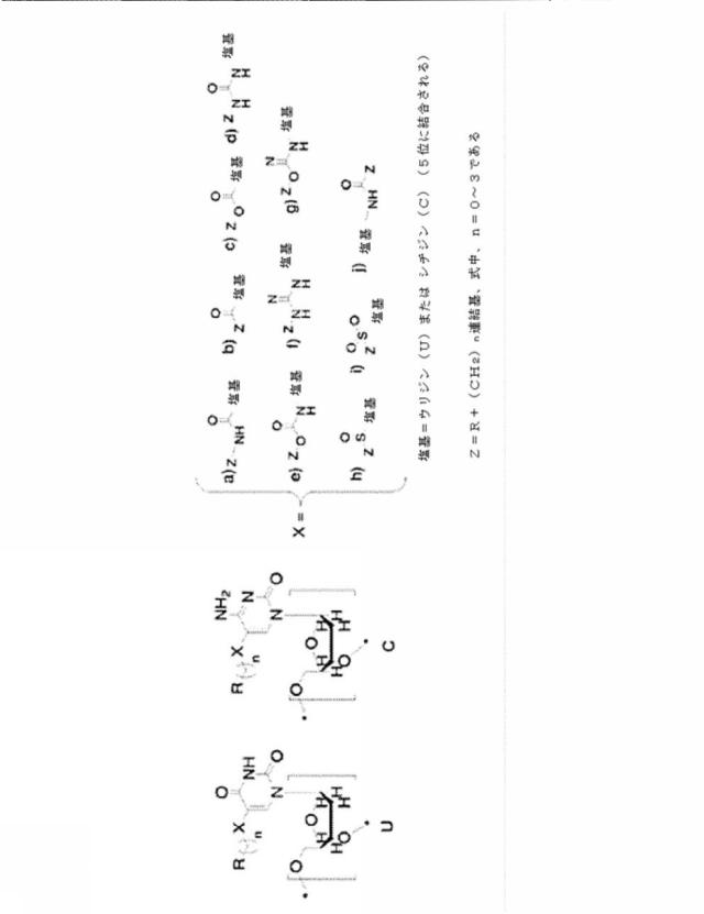 2017530356-心血管系のリスクイベントの予測及びその使用 図000075