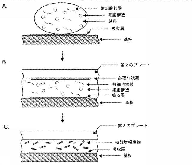 2020521463-アッセイのための急速な試料温度変化 図000075