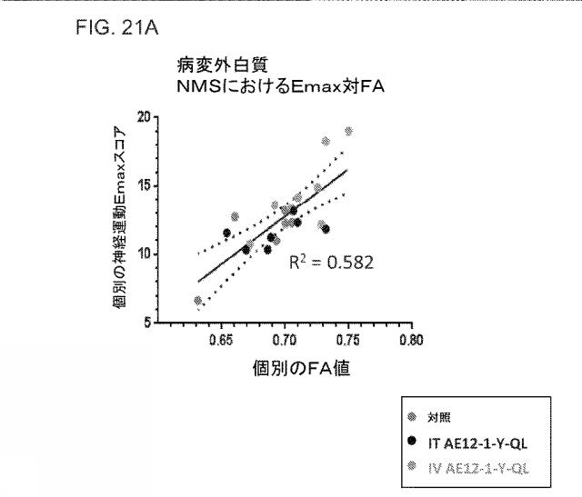 2019517480-脊髄損傷及び疼痛を処置するための抗ＲＧＭａ（Ｒｅｐｕｌｓｉｖｅ  Ｇｕｉｄａｎｃｅ  Ｍｏｌｅｃｕｌｅ  Ａ）アンタゴニスト抗体 図000076