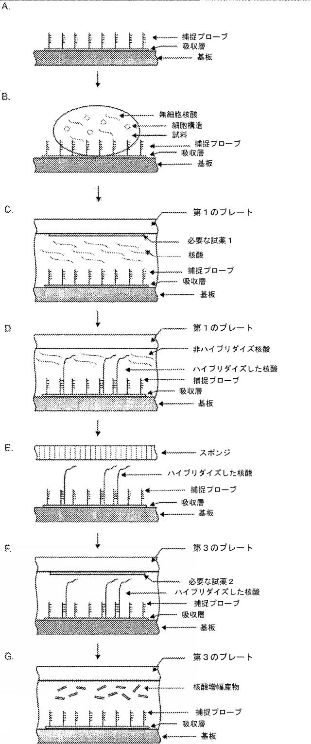2020521463-アッセイのための急速な試料温度変化 図000076