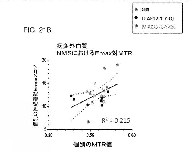 2019517480-脊髄損傷及び疼痛を処置するための抗ＲＧＭａ（Ｒｅｐｕｌｓｉｖｅ  Ｇｕｉｄａｎｃｅ  Ｍｏｌｅｃｕｌｅ  Ａ）アンタゴニスト抗体 図000077