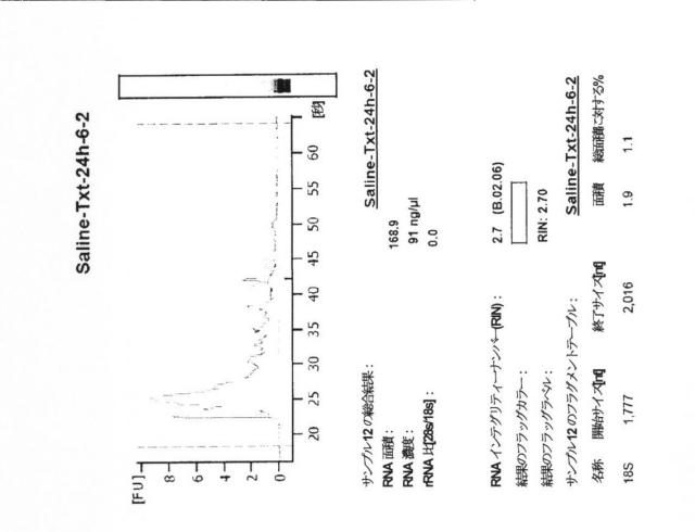 2015519887-ＲＮＡ破壊を評価するためのアッセイ、方法および装置 図000079