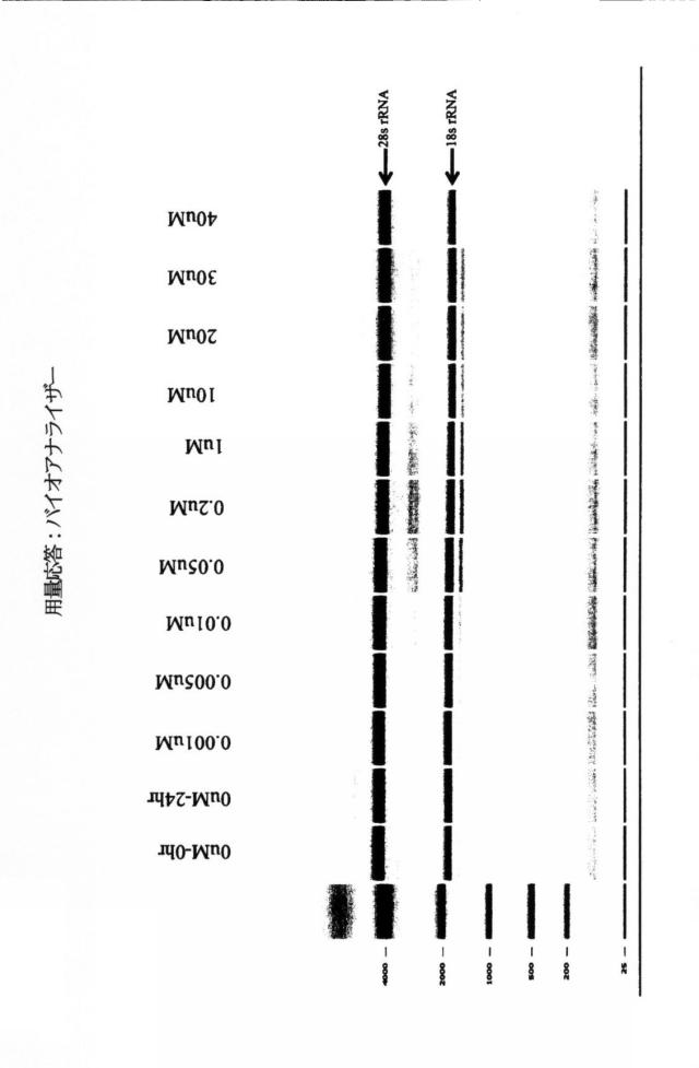 2015519887-ＲＮＡ破壊を評価するためのアッセイ、方法および装置 図000080