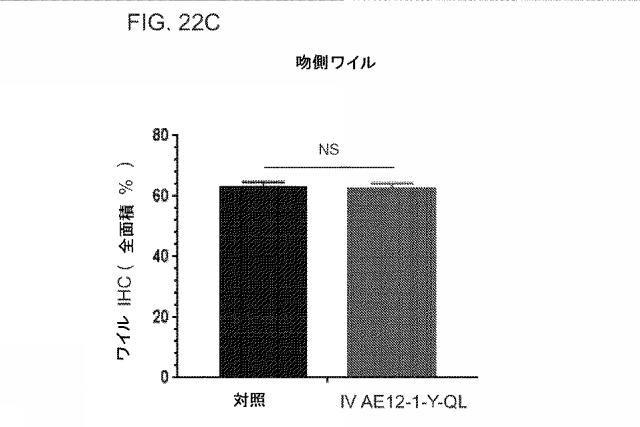 2019517480-脊髄損傷及び疼痛を処置するための抗ＲＧＭａ（Ｒｅｐｕｌｓｉｖｅ  Ｇｕｉｄａｎｃｅ  Ｍｏｌｅｃｕｌｅ  Ａ）アンタゴニスト抗体 図000080