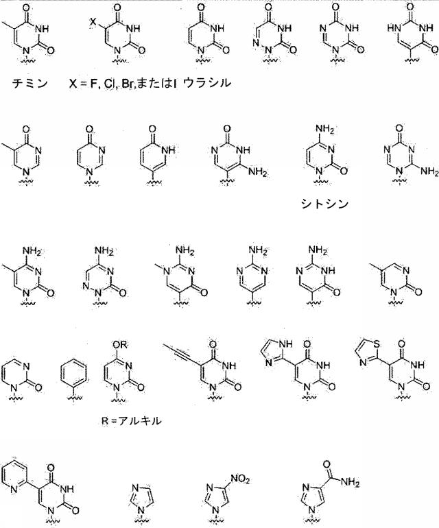 2020528899-チロシナーゼアンチセンスオリゴヌクレオチド 図000080