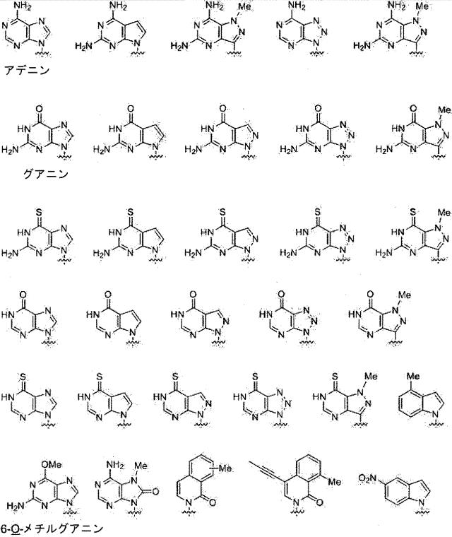 2020528899-チロシナーゼアンチセンスオリゴヌクレオチド 図000081