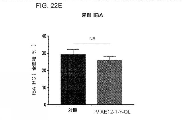 2019517480-脊髄損傷及び疼痛を処置するための抗ＲＧＭａ（Ｒｅｐｕｌｓｉｖｅ  Ｇｕｉｄａｎｃｅ  Ｍｏｌｅｃｕｌｅ  Ａ）アンタゴニスト抗体 図000082