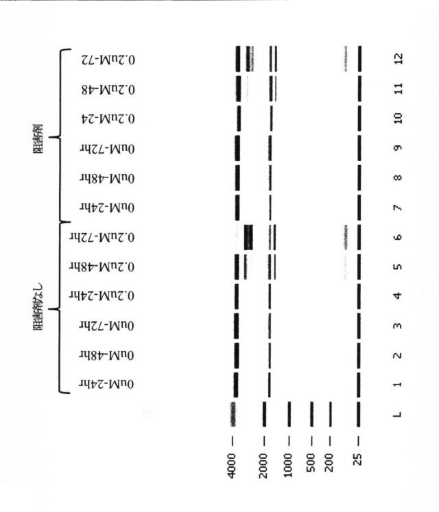 2015519887-ＲＮＡ破壊を評価するためのアッセイ、方法および装置 図000083