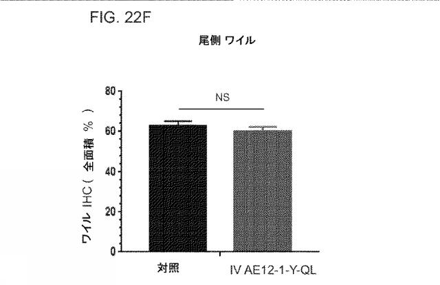 2019517480-脊髄損傷及び疼痛を処置するための抗ＲＧＭａ（Ｒｅｐｕｌｓｉｖｅ  Ｇｕｉｄａｎｃｅ  Ｍｏｌｅｃｕｌｅ  Ａ）アンタゴニスト抗体 図000083