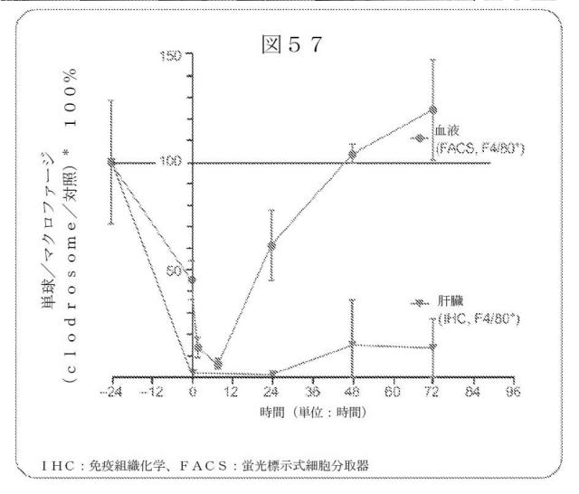 2015504898-第ＶＩＩＩ因子療法を受けている個体における第ＶＩＩＩ因子に対する免疫原性を低下させる方法 図000084