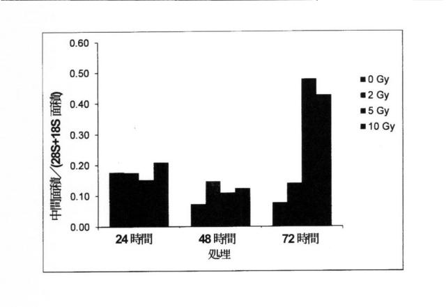 2015519887-ＲＮＡ破壊を評価するためのアッセイ、方法および装置 図000084