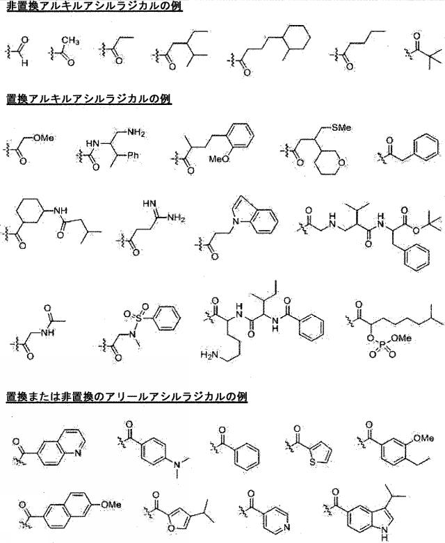 2020528899-チロシナーゼアンチセンスオリゴヌクレオチド 図000084