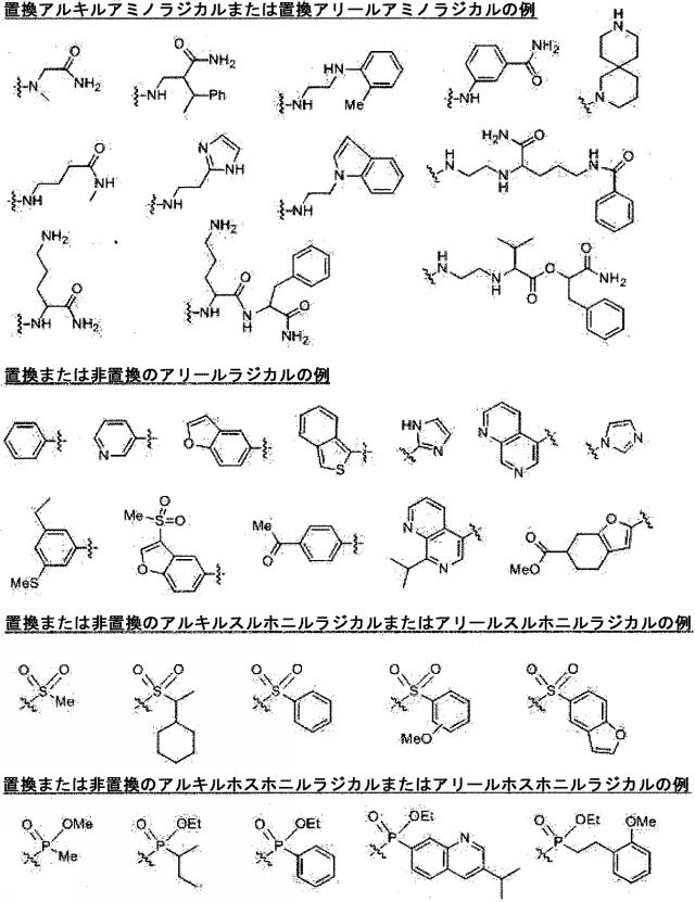 2020528899-チロシナーゼアンチセンスオリゴヌクレオチド 図000085