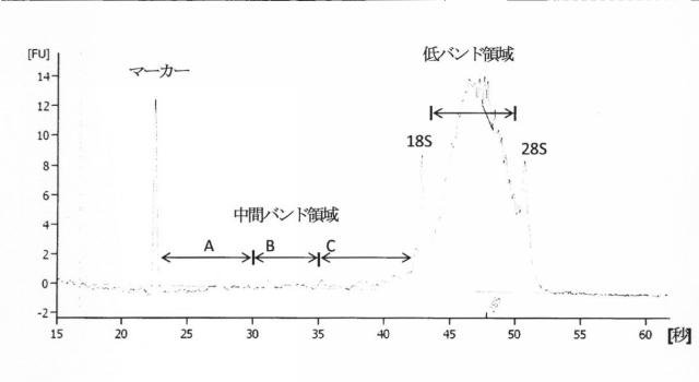 2015519887-ＲＮＡ破壊を評価するためのアッセイ、方法および装置 図000086