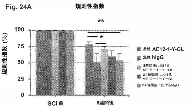 2019517480-脊髄損傷及び疼痛を処置するための抗ＲＧＭａ（Ｒｅｐｕｌｓｉｖｅ  Ｇｕｉｄａｎｃｅ  Ｍｏｌｅｃｕｌｅ  Ａ）アンタゴニスト抗体 図000086