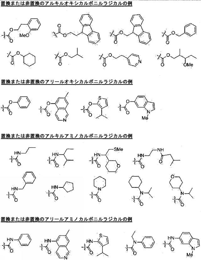 2020528899-チロシナーゼアンチセンスオリゴヌクレオチド 図000086