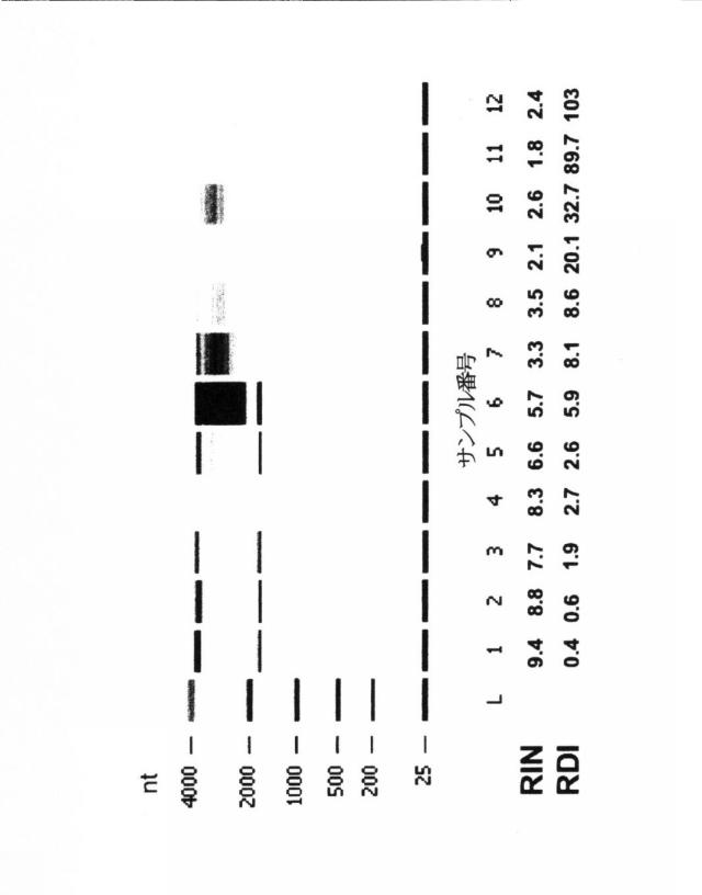 2015519887-ＲＮＡ破壊を評価するためのアッセイ、方法および装置 図000088
