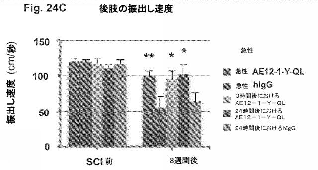 2019517480-脊髄損傷及び疼痛を処置するための抗ＲＧＭａ（Ｒｅｐｕｌｓｉｖｅ  Ｇｕｉｄａｎｃｅ  Ｍｏｌｅｃｕｌｅ  Ａ）アンタゴニスト抗体 図000088